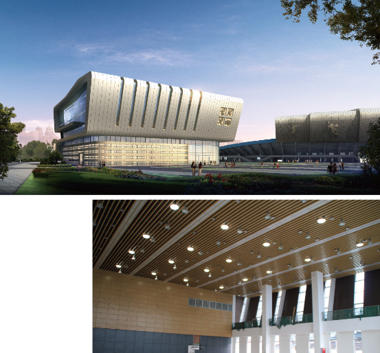 导光管采光系统在雅安体育馆应用 导光管采光系统在雅安体育馆应用