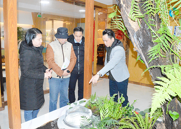 双模式无电照明系统 双模式无电照明系统